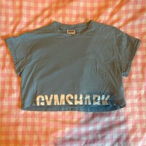 Gymshark Blue Fraction Crop Top